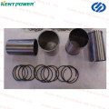 Yangdong Engine Spare Part Oil  Seal  for  Crankshaft 08010280 Yd380d Yd385D Yd480d Yd4kd Ynd485D Ysd490d Y495D